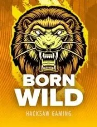 born wild official logo