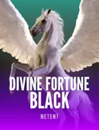 divine fortune black - logo